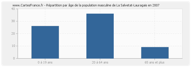 Répartition par âge de la population masculine de La Salvetat-Lauragais en 2007